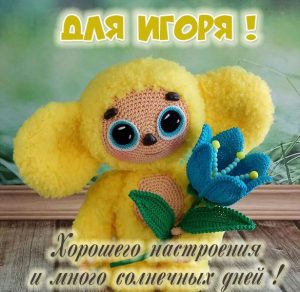 Скачать бесплатно Детская картинка с именем Игорь на сайте WishesCards.ru