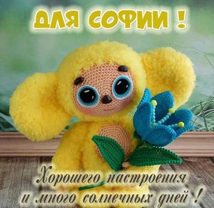Скачать бесплатно Детская картинка с именем София на сайте WishesCards.ru