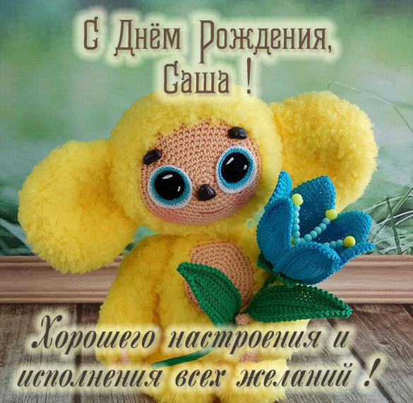 Скачать бесплатно Детская картинка Саша с днем рождения на сайте WishesCards.ru