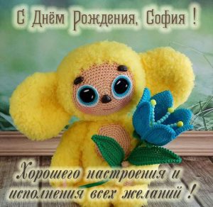 Скачать бесплатно Детская открытка с днем рождения София на сайте WishesCards.ru