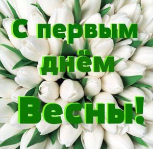 Скачать бесплатно Электронная картинка на Первый день весны на сайте WishesCards.ru