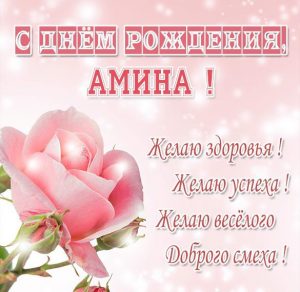 Скачать бесплатно Красивая картинка с днем рождения Амина на сайте WishesCards.ru
