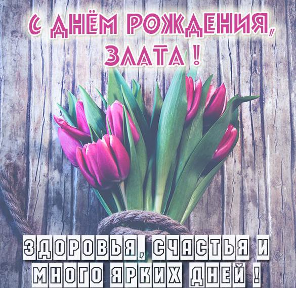 Скачать бесплатно Электронная картинка с днем рождения Злата на сайте WishesCards.ru