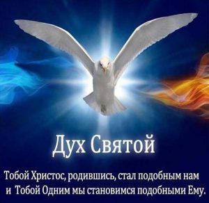 Скачать бесплатно Электронная открытка на Духов день на сайте WishesCards.ru