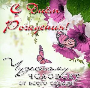 Скачать бесплатно Электронная открытка с днем рождения с природой на сайте WishesCards.ru