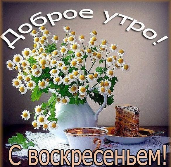 Скачать бесплатно Электронная открытка с добрым воскресным утром на сайте WishesCards.ru