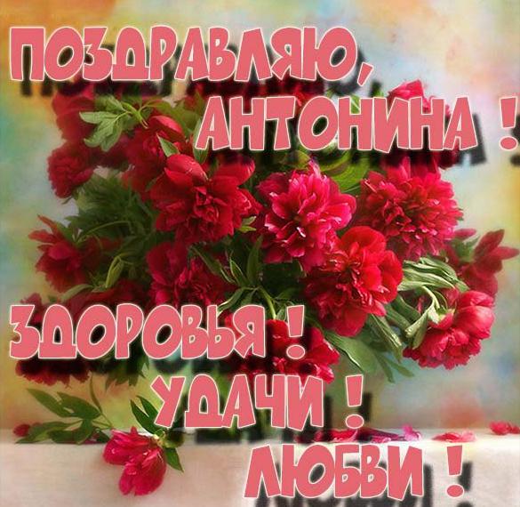 Скачать бесплатно Электронная открытка с именем Антонина на сайте WishesCards.ru