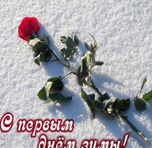 Скачать бесплатно Электронная открытка с первым днем зимы на сайте WishesCards.ru