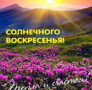 Скачать бесплатно Электронная открытка с воскресным утром на сайте WishesCards.ru