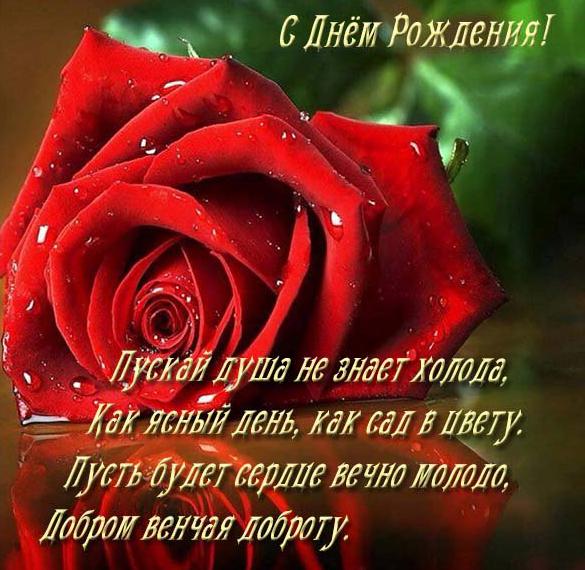 Скачать бесплатно Электронная открытка со стихами с днем рождения на сайте WishesCards.ru