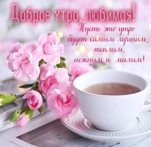 Скачать бесплатно Фото доброе утро любимая на сайте WishesCards.ru