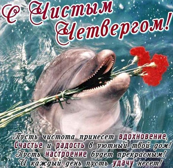 Скачать бесплатно Фото картинка на Чистый Четверг с приколом на сайте WishesCards.ru