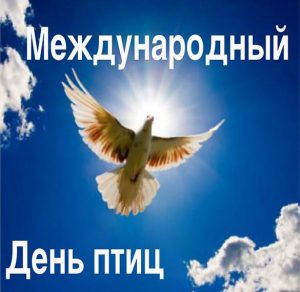 Скачать бесплатно Фото картинка на день птиц на сайте WishesCards.ru