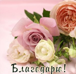 Скачать бесплатно Фото открытка благодарю на сайте WishesCards.ru