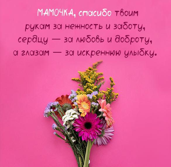 Скачать бесплатно Фото открытка мамочке на сайте WishesCards.ru
