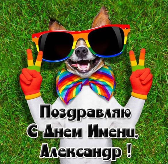 Скачать бесплатно Фото открытка на день Александра на сайте WishesCards.ru