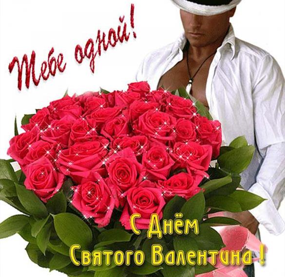 Скачать бесплатно Фото открытка на день Святого Валентина с приколом на сайте WishesCards.ru