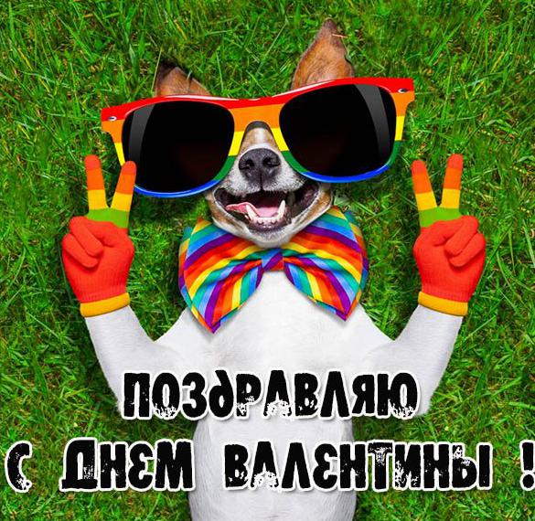 Скачать бесплатно Фото открытка на день Вероники на сайте WishesCards.ru
