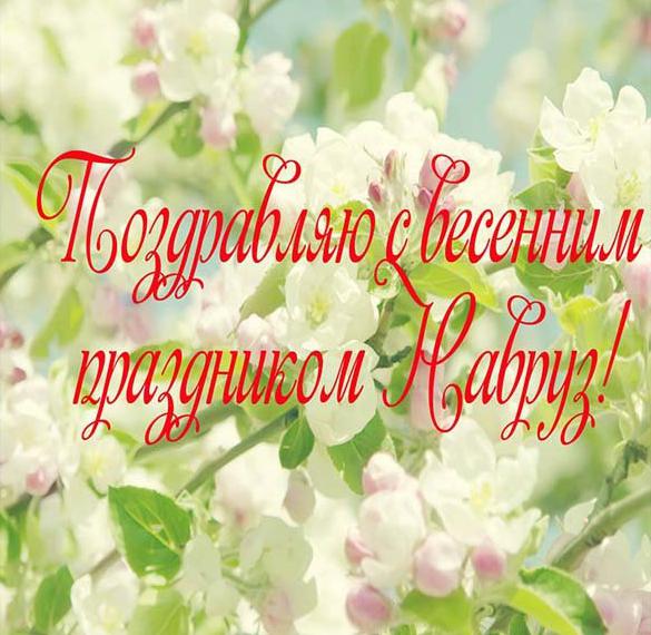 Скачать бесплатно Фото открытка на Наурыз на сайте WishesCards.ru