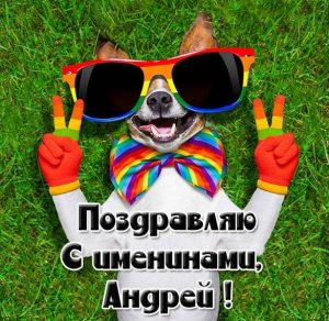 Скачать бесплатно Фото открытка с днем Андрея на сайте WishesCards.ru