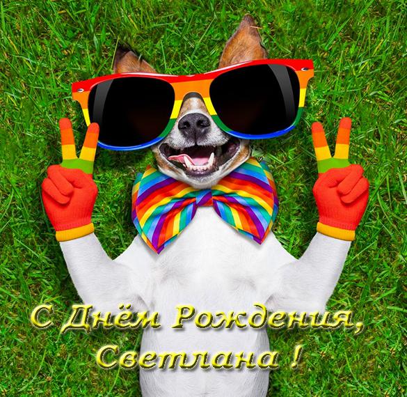 Скачать бесплатно Фото открытка с днем рождения Светлана на сайте WishesCards.ru