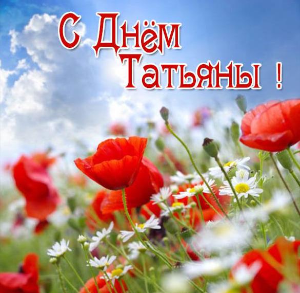 Скачать бесплатно Фото открытка с днем Татьяны на сайте WishesCards.ru