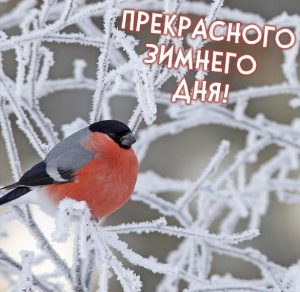 Скачать бесплатно Фото прекрасного зимнего дня на сайте WishesCards.ru
