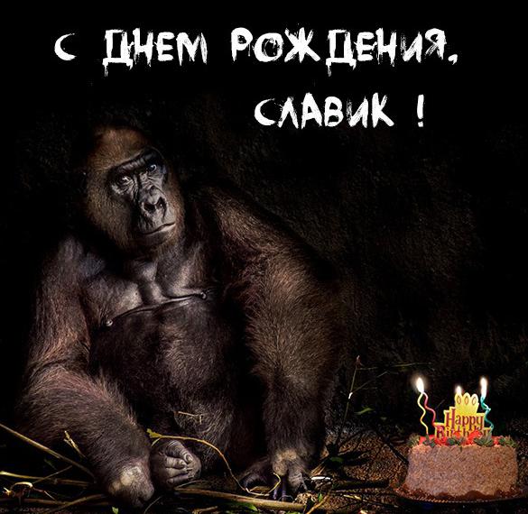Скачать бесплатно Фото с днем рождения Слава с приколом на сайте WishesCards.ru