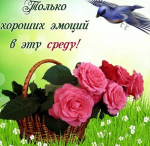 Скачать бесплатно Хорошего настроения в среду прикольная картинка на сайте WishesCards.ru