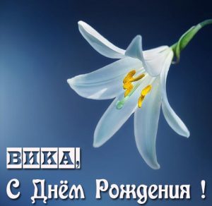 Скачать бесплатно Именная картинка с днем рождения Вика на сайте WishesCards.ru