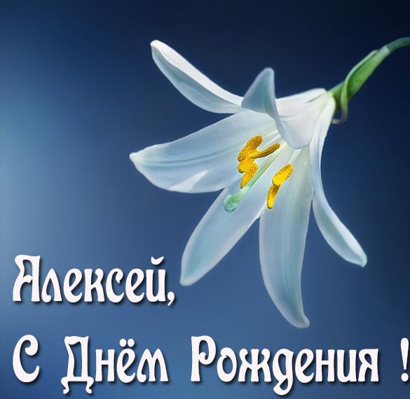 Скачать бесплатно Именная открытка с днем рождения Алексей на сайте WishesCards.ru