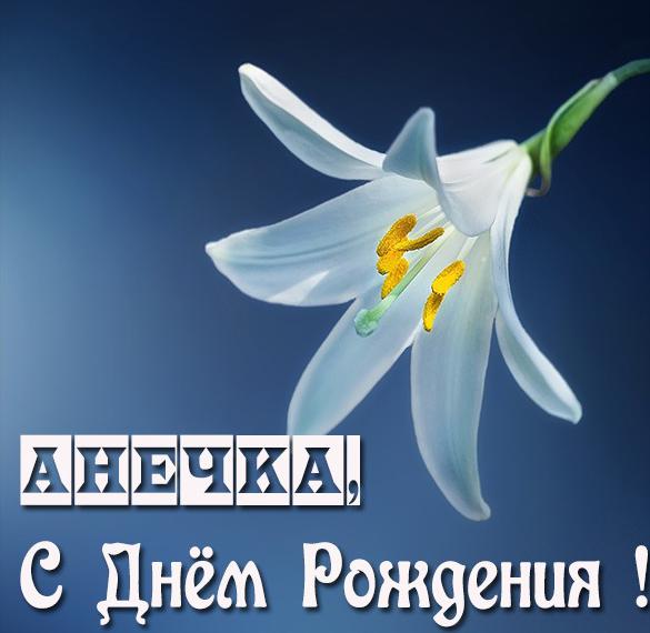 Скачать бесплатно Именная открытка с днем рождения Анечка на сайте WishesCards.ru