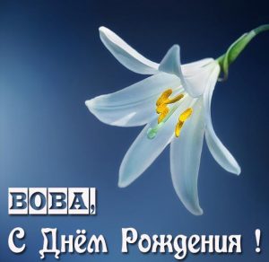 Скачать бесплатно Именная открытка с днем рождения для Вовы на сайте WishesCards.ru