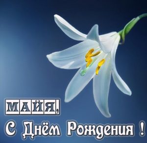 Скачать бесплатно Именная открытка с днем рождения Майя на сайте WishesCards.ru