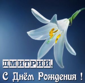 Скачать бесплатно Именная открытка с днем рождения мужчине Дмитрию на сайте WishesCards.ru