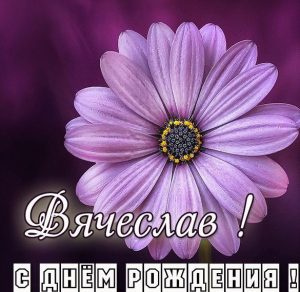 Скачать бесплатно Именная открытка с днем рождения мужчине Вячеславу на сайте WishesCards.ru