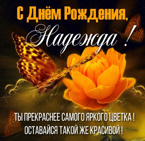 Скачать бесплатно Именная открытка с днем рождения Надежда на сайте WishesCards.ru