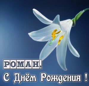 Скачать бесплатно Именная открытка с днем рождения Роман на сайте WishesCards.ru