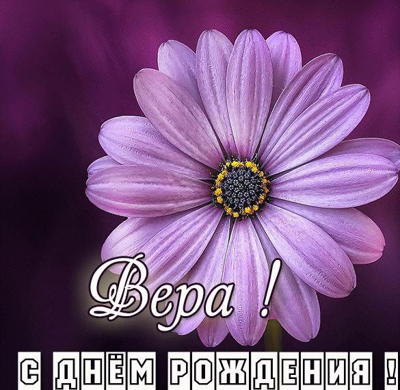 Скачать бесплатно Именная открытка с днем рождения Вера на сайте WishesCards.ru
