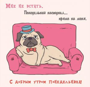 Скачать бесплатно Интересная прикольная открытка доброе утро понедельника на сайте WishesCards.ru