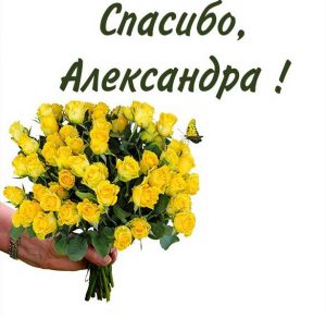 Скачать бесплатно Картинка Александра спасибо на сайте WishesCards.ru