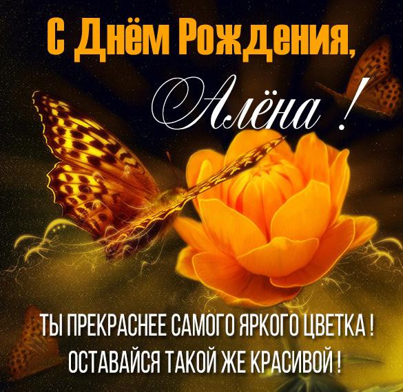 Скачать бесплатно Картинка Алена с днем рождения для девочки на сайте WishesCards.ru