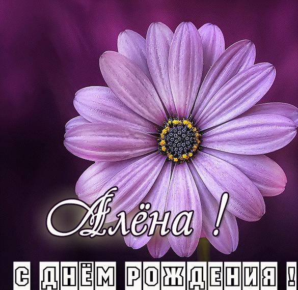 Скачать бесплатно Картинка Алена с днем рождения для девушки на сайте WishesCards.ru