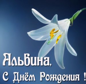 Скачать бесплатно Картинка Альбина с днем рождения на сайте WishesCards.ru