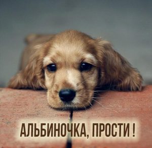 Скачать бесплатно Картинка Альбиночка прости на сайте WishesCards.ru