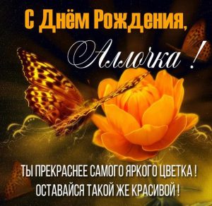 Скачать бесплатно Картинка Аллочка с днем рождения для девушки на сайте WishesCards.ru