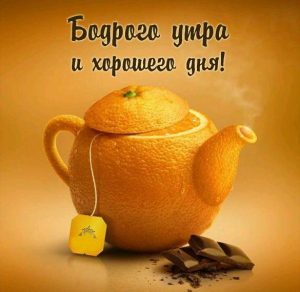 Скачать бесплатно Картинка бодрого утра и хорошего дня прикольная на сайте WishesCards.ru