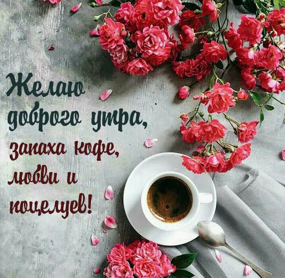 Скачать бесплатно Картинка чашка кофе с добрым утром любимой на сайте WishesCards.ru