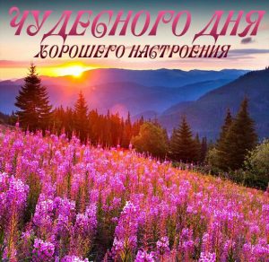 Скачать бесплатно Картинка чудесного дня и хорошего настроения красивая на сайте WishesCards.ru