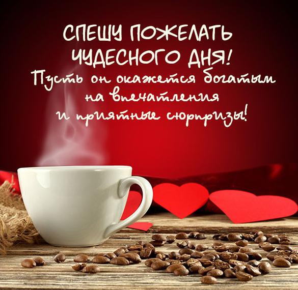 Скачать бесплатно Картинка чудесного дня красивая с пожеланием на сайте WishesCards.ru